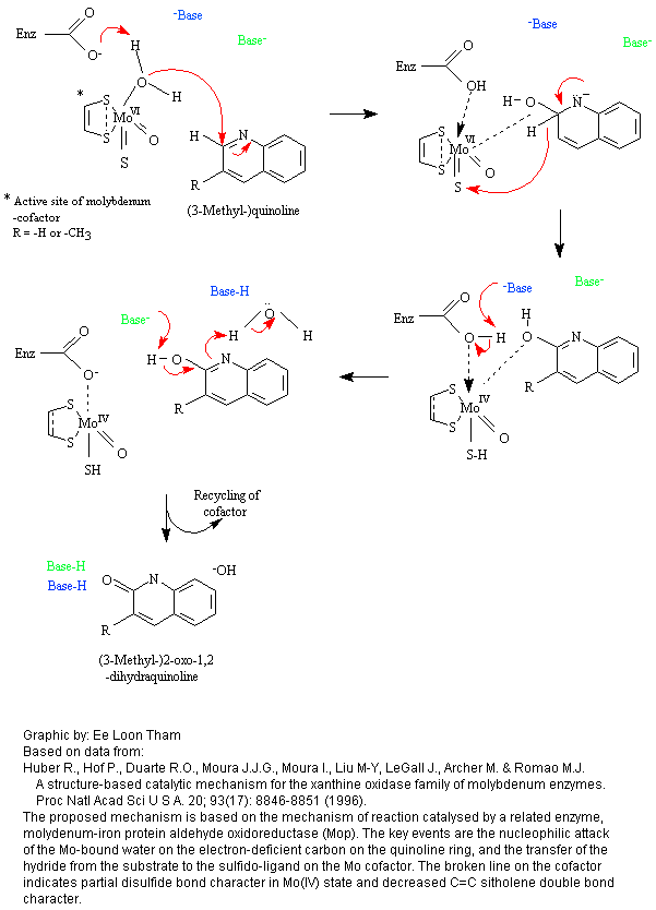 Preparation of Methyl M-Nitrobenzoate Essay