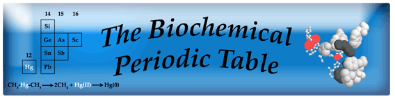 Banner - Biochemical Periodic Table