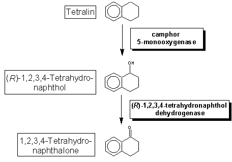 tetrain